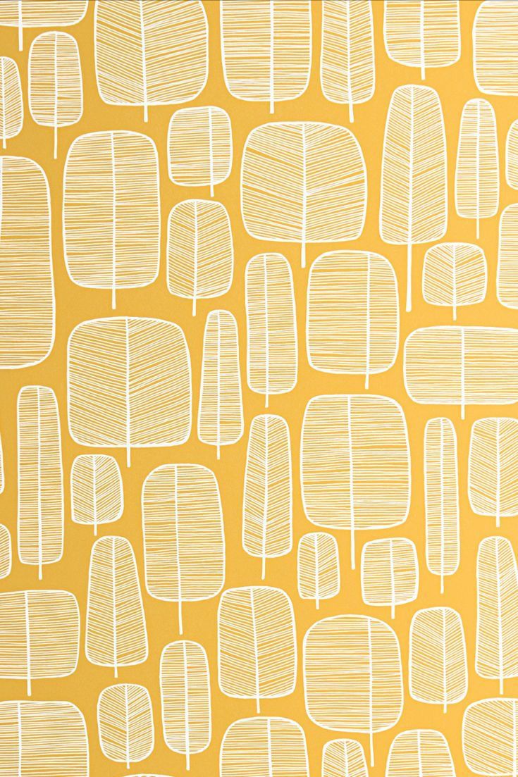 post - New addition to our feminist library